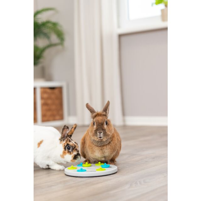Trixie Strategiespel voor konijnen, Snack Board