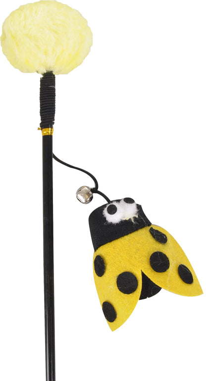 Kattenhengel Lieveheersbeestje