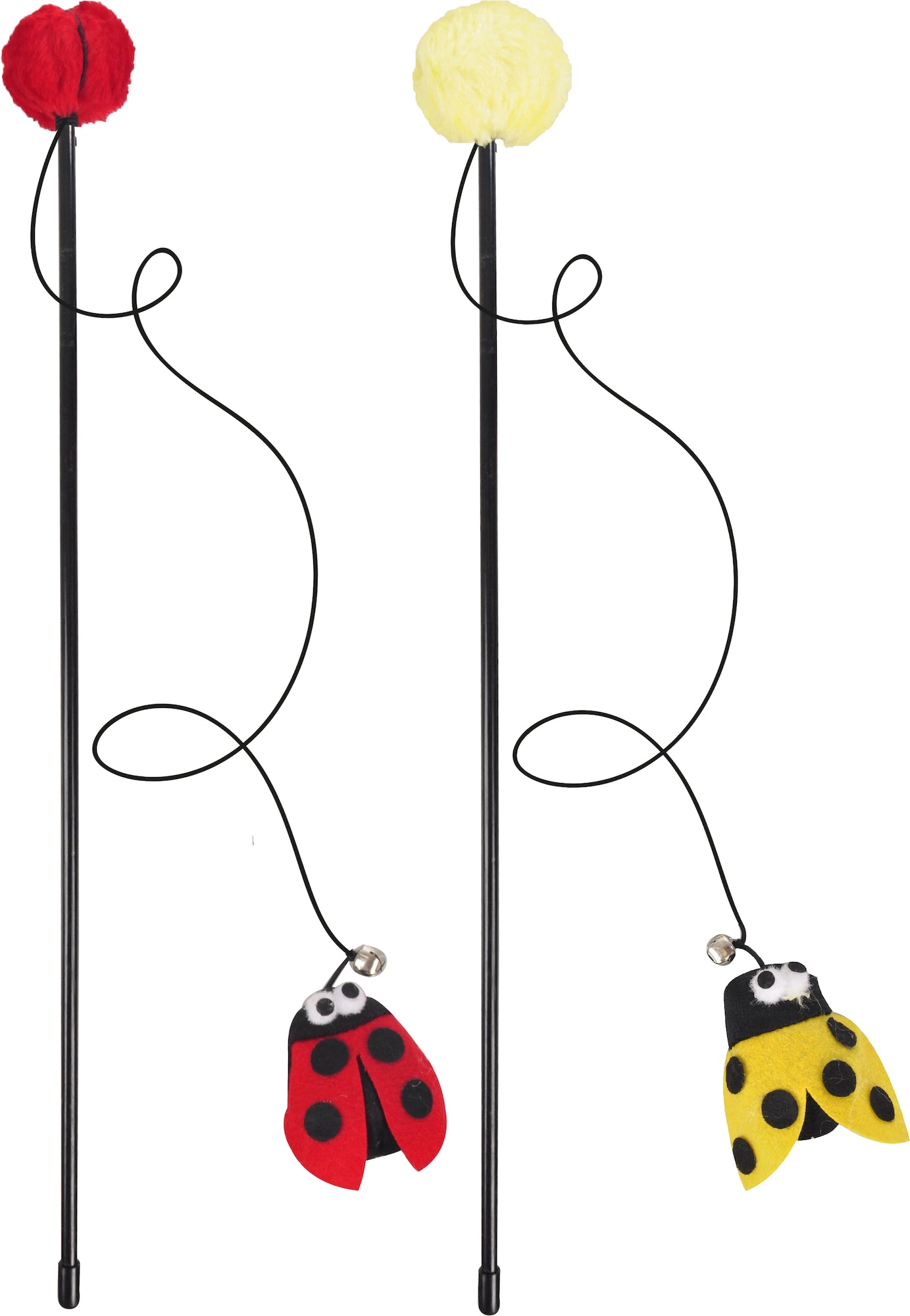 Kattenhengel Lieveheersbeestje