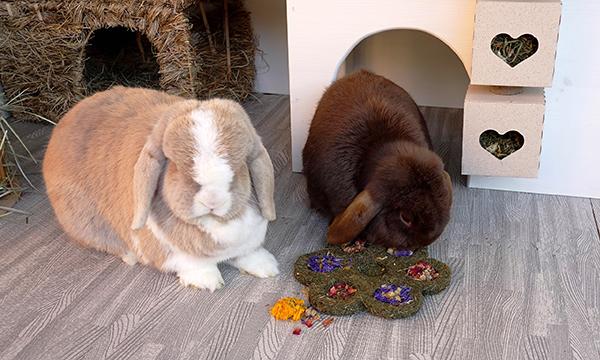 Rosewood Naturals Flower 'n' Forage Blossom