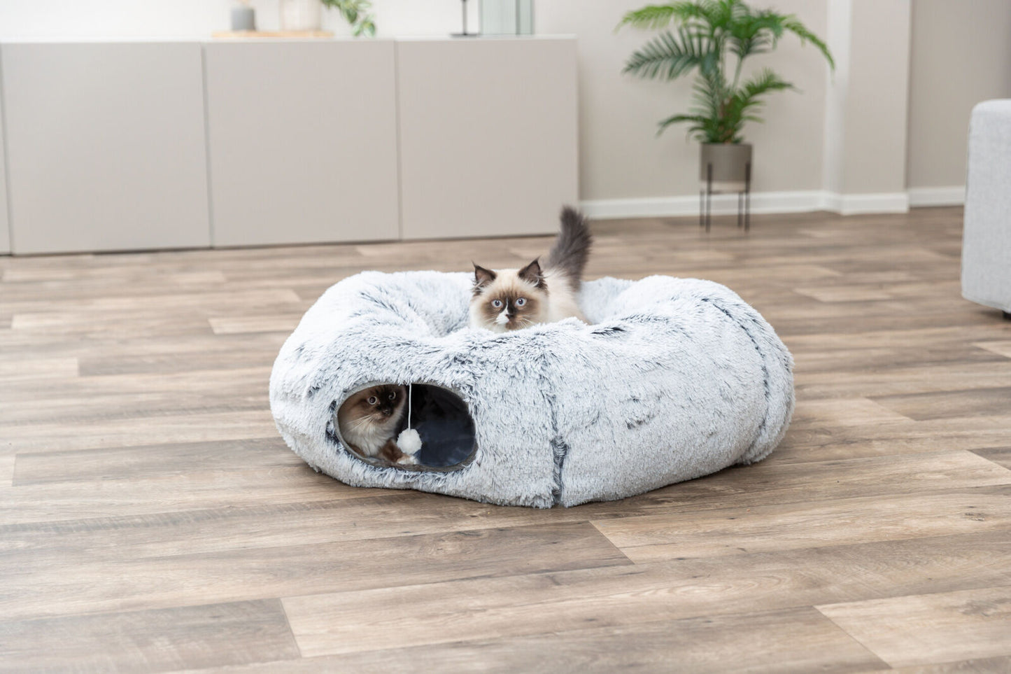 Trixie Harvey kattentunnel – Speeltunnel en ligplek voor katten