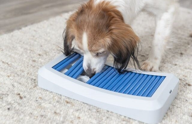 Trixie Dog Activity Rod Board, blauw