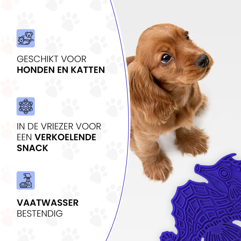 Eat Slow Live Longer likmat Seahorse